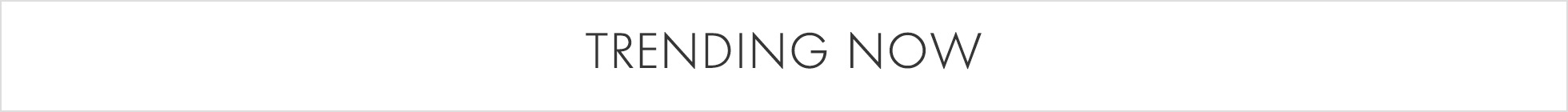 Promotional Banner