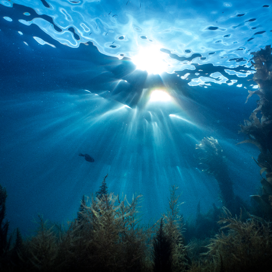 UNCOVERED | Marine-infused Beauty