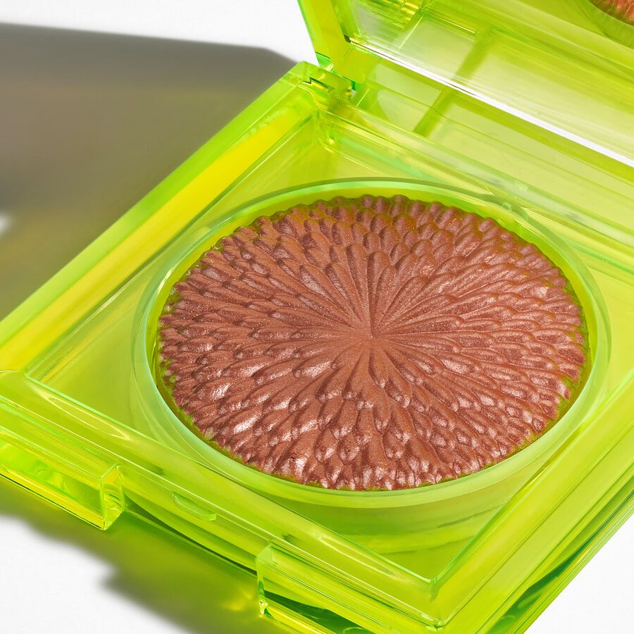 MOST WANTED | Inside Chantecaille's Summer Collection