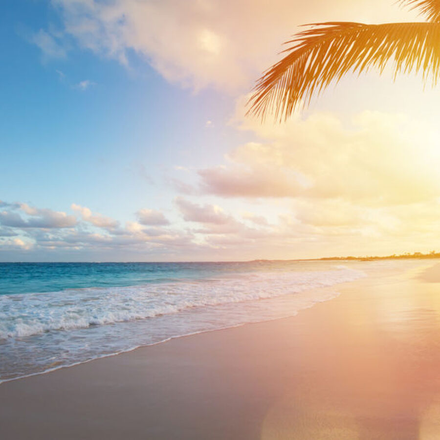 THE ART OF | Beach Bag Beauty