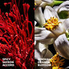 LIBRE Le Parfum, , large, image3