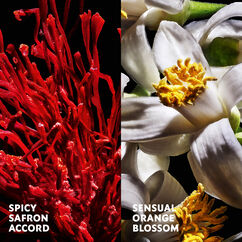 LIBRE Le Parfum, , large, image3