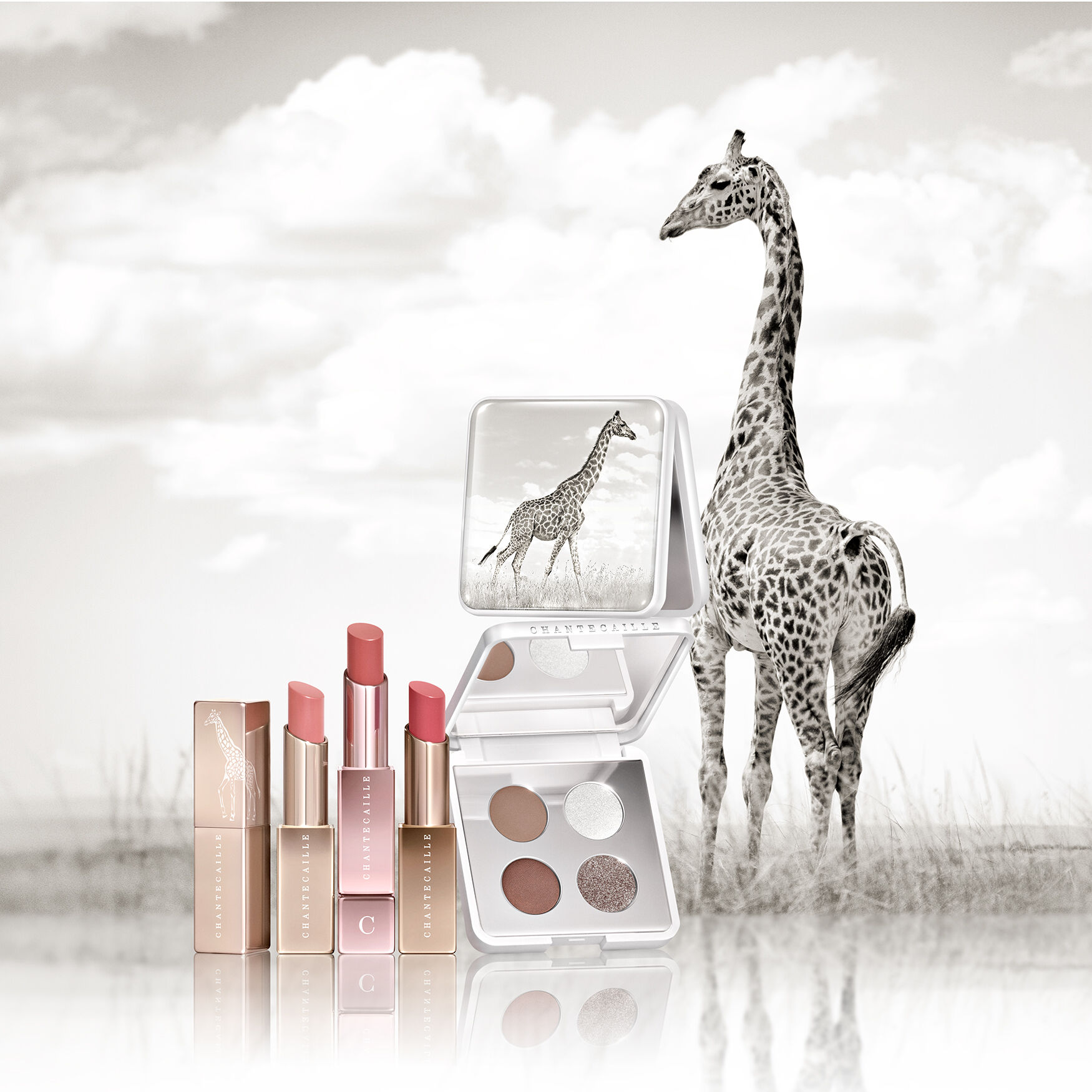 Chantecaille Giraffe Eye Quartet | Space NK