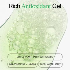 Youth Stack: Daily Skin Health, , large, image4