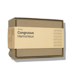 Elaborate Body Kit: Congruous, , large, image2