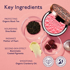 Tea To Tan Blush Powder, MELON MELODY, large, image6