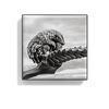 Luminescent Eye Shade, PANGOLIN, large, image2