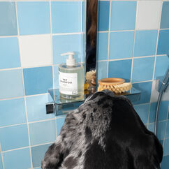 Pet Shampoo 01 "Taunt", , large, image3