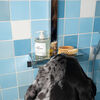 Pet Shampoo 01 "Taunt", , large, image3
