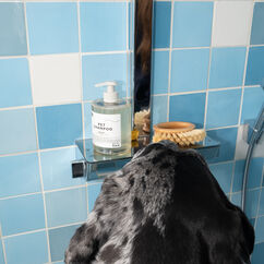 Shampooing pour animaux 01 "Taunt, , large, image3
