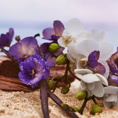 Cheirosa 59 Perfume Mist, , large, image5