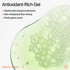 Superfood Cleanser, , large, image2