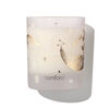 Eucalyptus & Fir Tree Candle, , large, image2