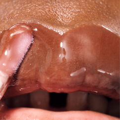 Glassy High-Shine Lip Gloss, BROWN, large, image5