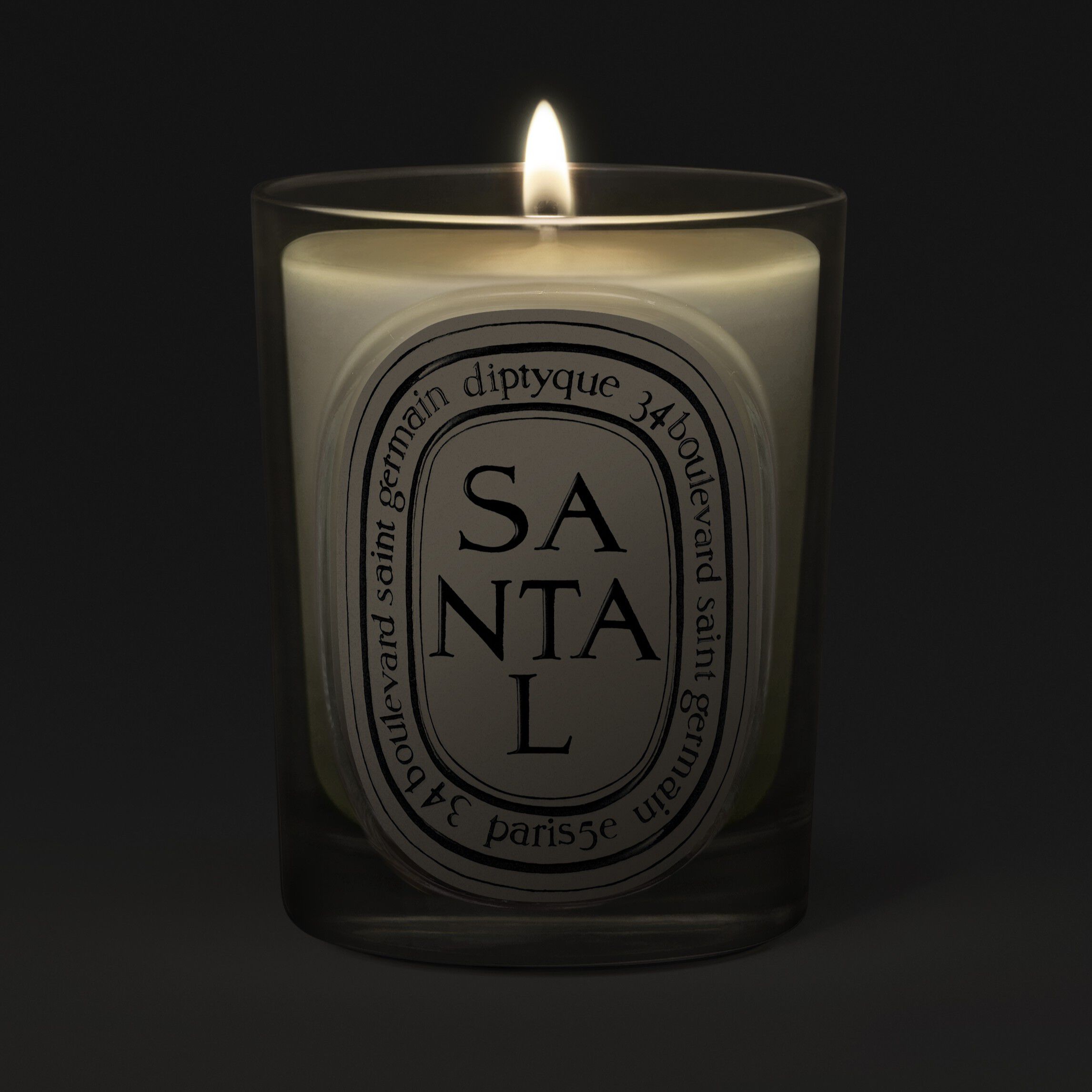 Diptyque Santal Classic Candle 190g | Space NK