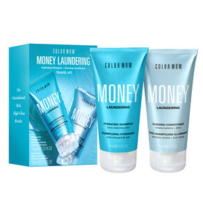 Money Laundering Travel Duo