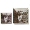 Lion Collection Luminescent Eye Shade, NARIKA, large, image3