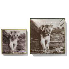 Lion Collection Luminescent Eye Shade, NARIKA, large, image3