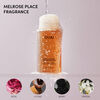 Merry On Melrose Holiday Kit, , large, image5