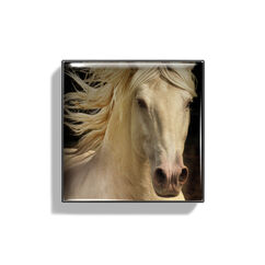Ombre à paupières mate, PALOMINO, large, image2