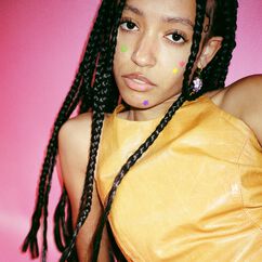 Hydro-Stars Extra Small + Extra Cute 48 CT, , large, image4