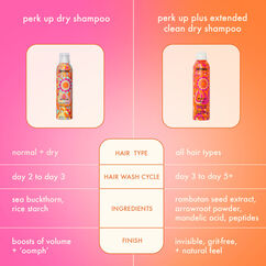 Perk Up Plus Extended Clean Dry Shampoo, , large, image6