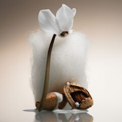 Cashmere Skin Hair and Body Mist, , large, image4