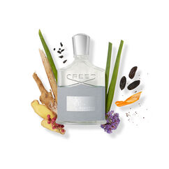 Aventus Cologne, , large, image3