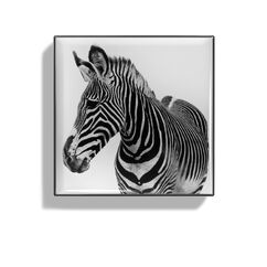 Luminescent Eye Shade, ZEBRA, large, image2