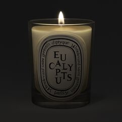 Eucalyptus Classic Candle 190g, , large, image4