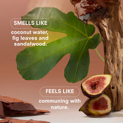 Woodphoria Standard Candle, , large, image5