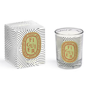Scented Candle Graphic Collection Figuier
