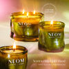 Perfect Peace Candle (1 Wick), , large, image6