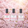 Tokyo Spring, TOKYO SPRING, large, image6