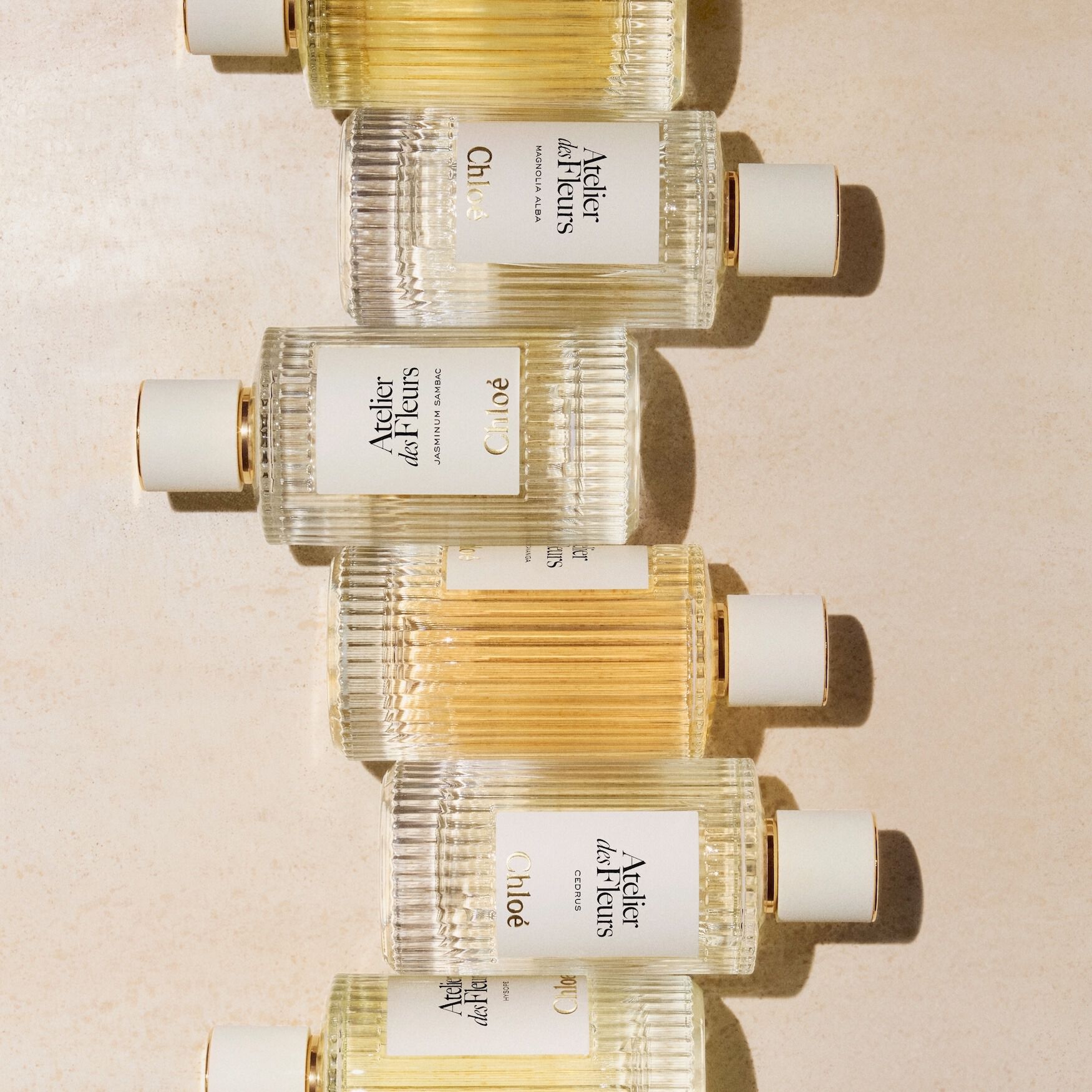Chloé Atelier des Fleurs Vanilla Planifolia Eau de Parfum