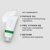 Flaky / Itchy Scalp Hydrating Conditioner, , large, image7