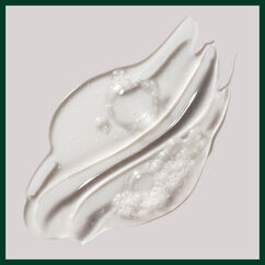 Rosemary Mint Purifying Shampoo, , large, image9