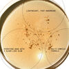 Founder's Essence 56 Ellagic & P.A.D. Light Reflecting Fluid, , large, image4