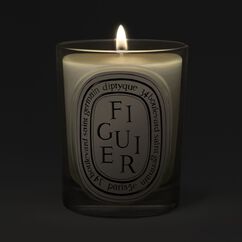 Refill Classic Candle Figuier 190g, , large, image4