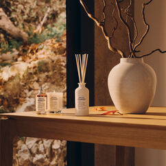 Replica Autumn Vibes Diffuser, , large, image5