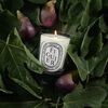 Refill Classic Candle Figuier 190g, , large, image5