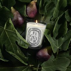 Refill Classic Candle Figuier 190g, , large, image5
