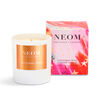 Christmas Wish 1 Wick Candle