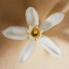 Atelier des Fleurs Neroli Eau de Parfum, , large, image3