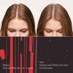 PhD Dry Shampoo, , large, image4