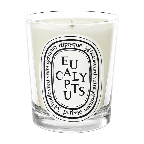 Eucalyptus Scented Candle, , large, image1