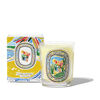 Citronnelle Candle, , large, image3