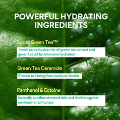 Green Tea Ceramide Mist, , large, image4