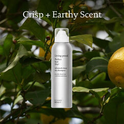 Perfect hair Day&trade; (PhD) Advanced Clean Dry Shampoo, , large, image8