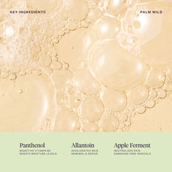 Palm Wild Hand Wash, , large, image6